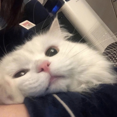 太狂了！爱德华兹评历史最佳阵容