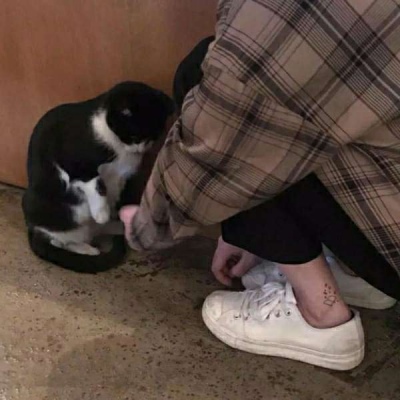 荣耀Magic8 Pro Air发布 售价4999元起